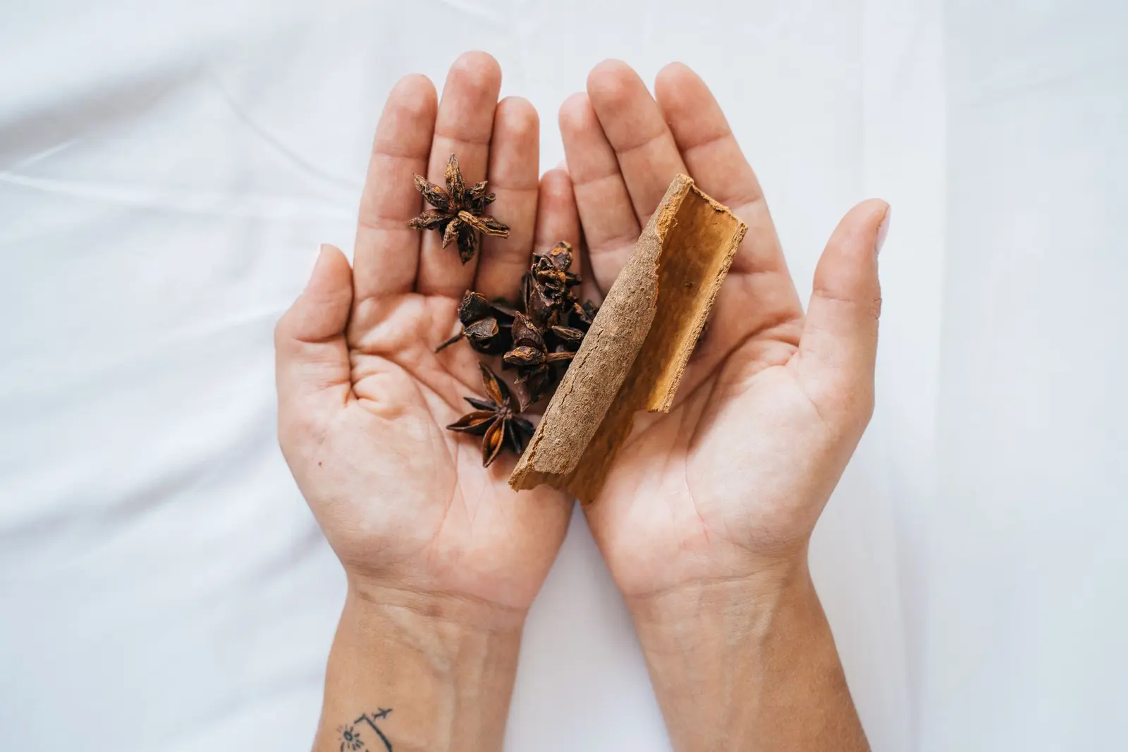 Open hands holding star anise and a cinnamon stick