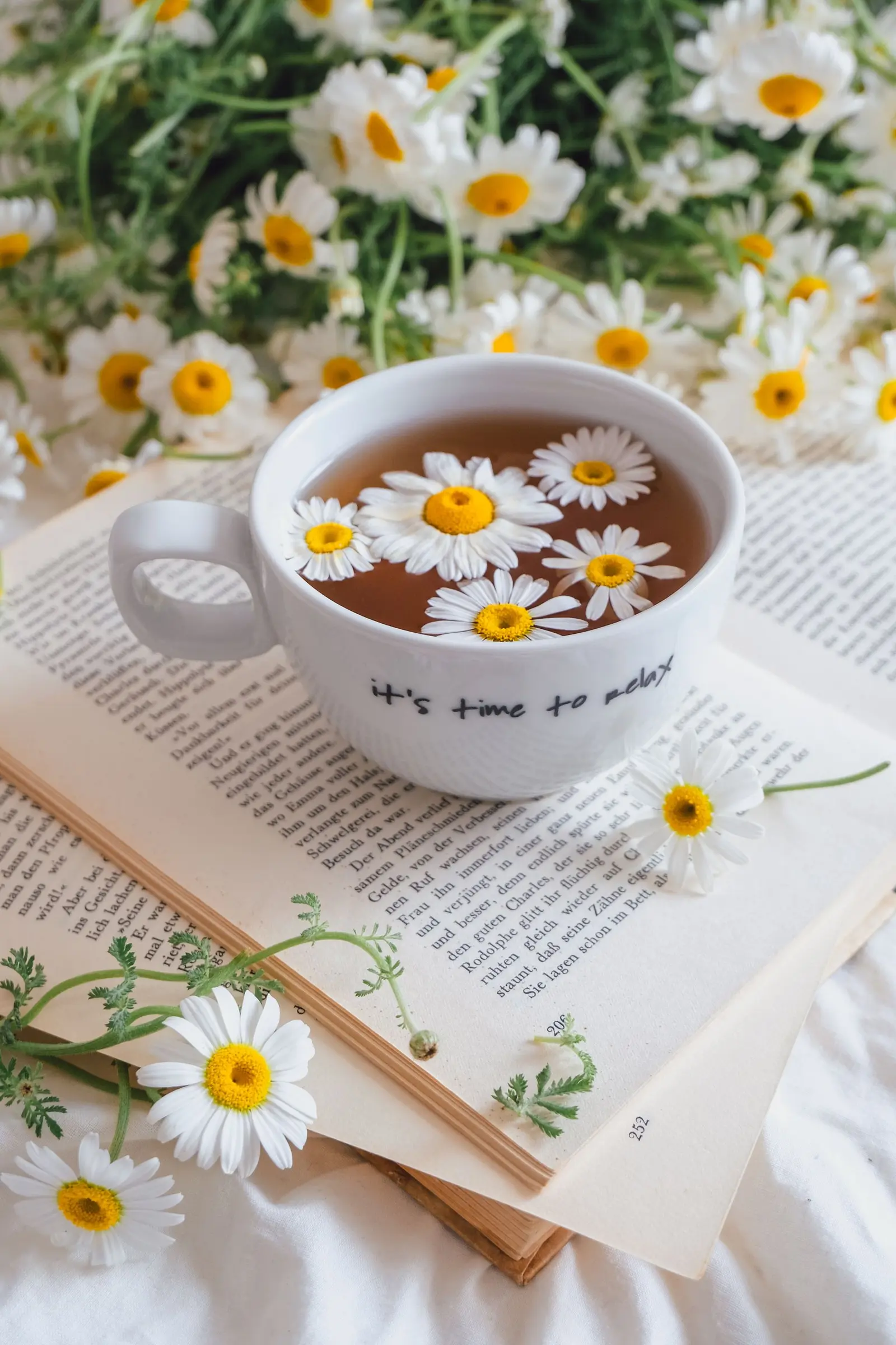 Cup of chamomile tea with daisies resting on an open book