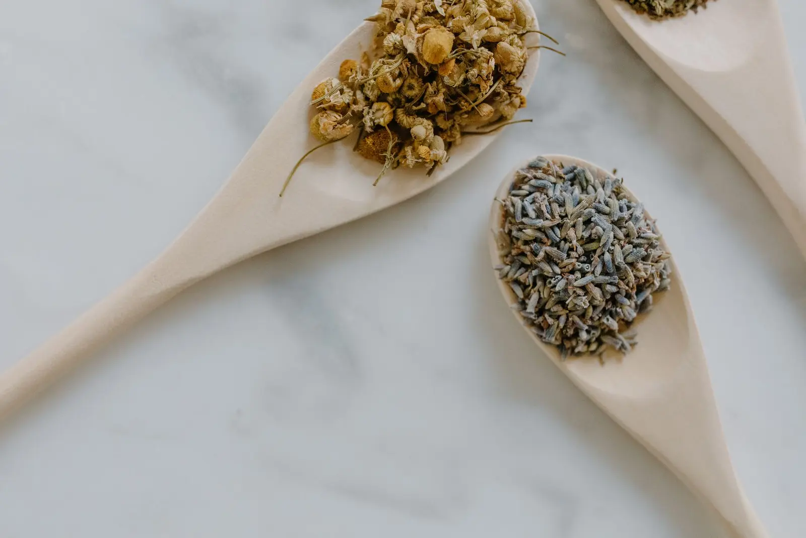 Wooden spoons holding dried chamomile flowers and lavender on white marble