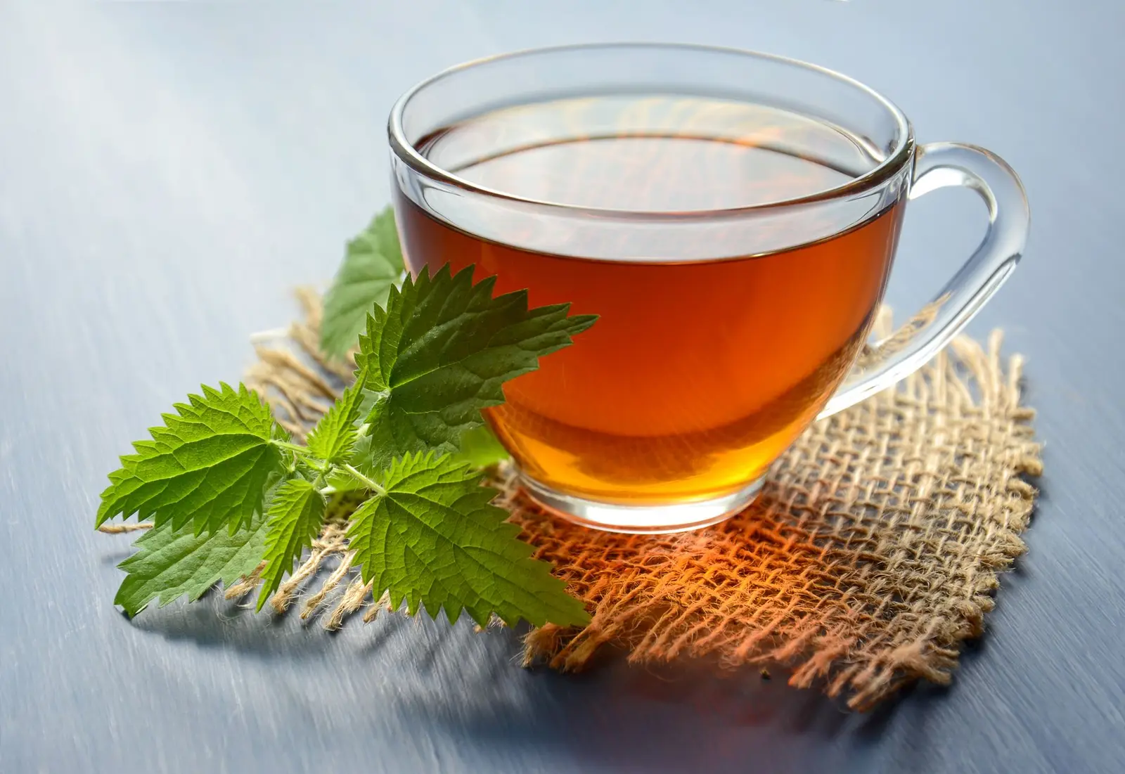 Glass cup of tea with fresh green mint leaves on a burlap mat